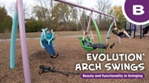 Evolution Arch Swings 